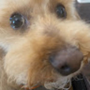 Meet your Posher, Emerson